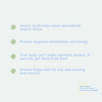 Lean // Protein Program