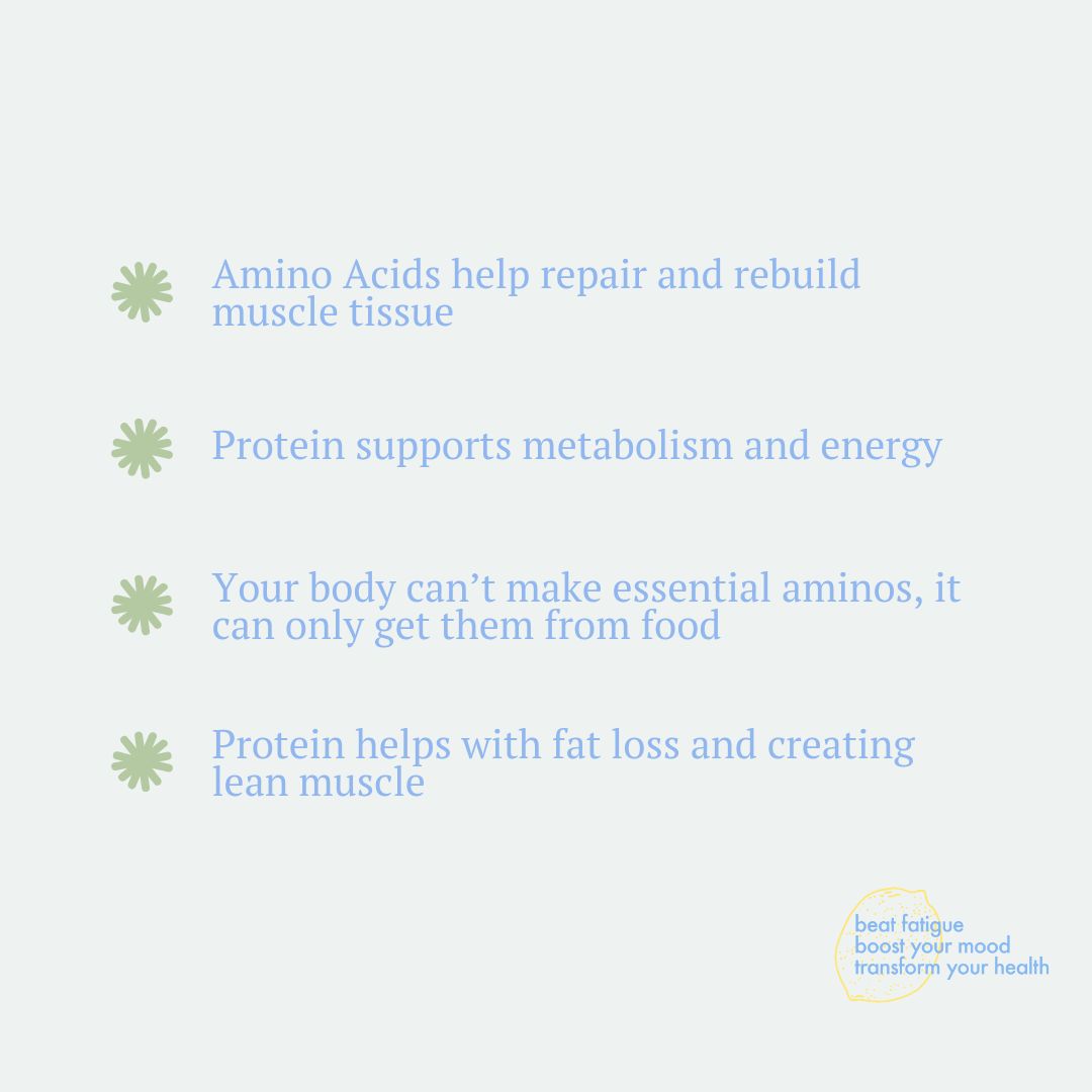 Lean // Protein Program