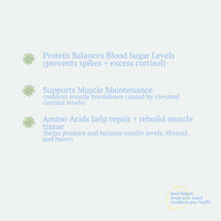 Lean // Protein Program